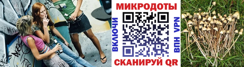 МЕГА зеркало  Жуковский  Галлюциногенные грибы Magic Shrooms 